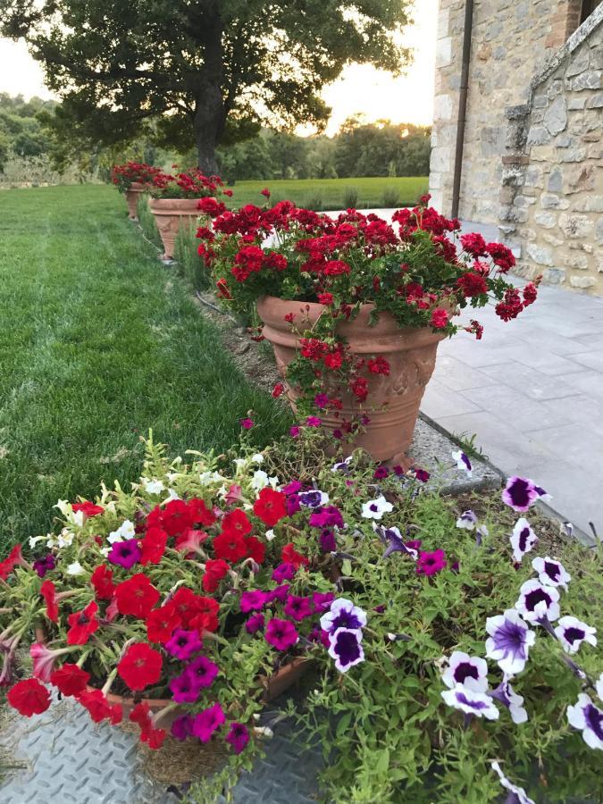 Bed and Breakfast Belsentiero Campiglia dʼOrcia Exteriér fotografie